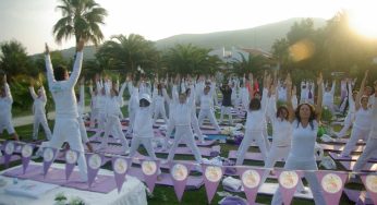 Orijinal Yoga Sistemi ve Biyoenerji: Bedenin Doğal Dengesini Keşfetmek